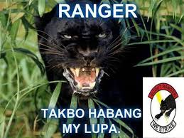 musang scout ranger